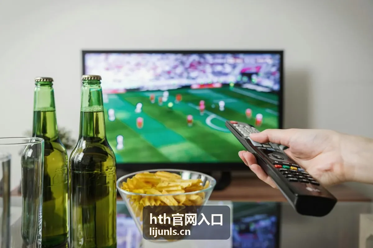 手机浏览器访问hth官网入口页面
